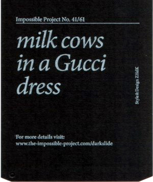 milkcows.jpg